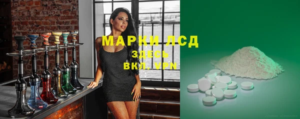 твердый Горняк