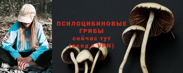 прущий лед Аркадак
