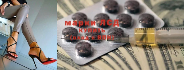 a pvp Алзамай