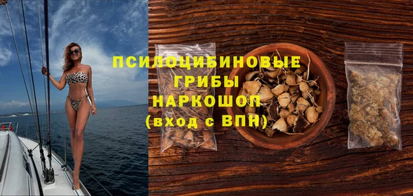 прущий лед Аркадак