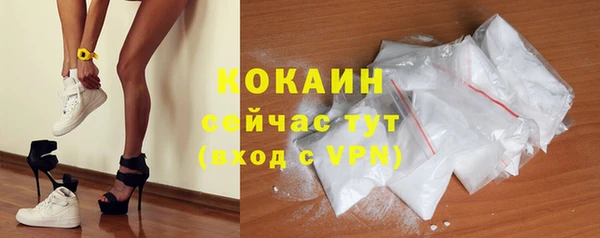 шишки Армянск