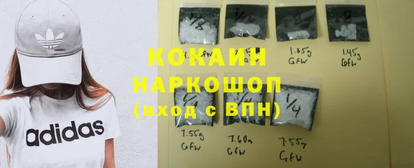 твердый Горняк