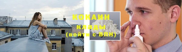твердый Горняк