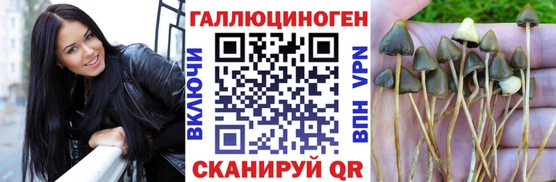 площадка формула  Фролово  Галлюциногенные грибы прущие грибы 